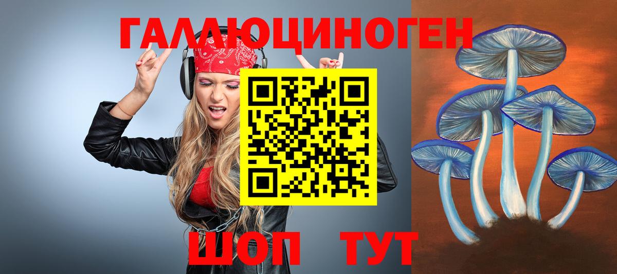 Сунжа  Псилоцибиновые грибы прущие грибы  Вход с VPN  Галлюциногенные грибы ЛСД 