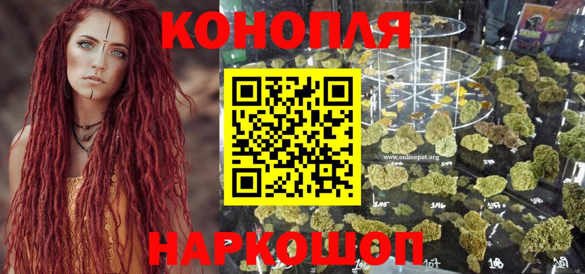 Марихуана планчик  Вход с VPN  Бошки марихуана конопля  Сунжа  Бошки марихуана гибрид 